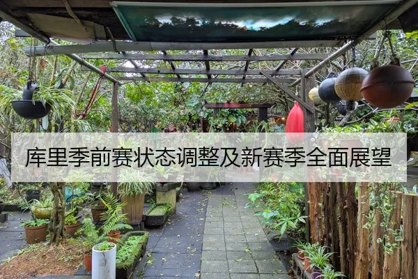 库里季前赛状态调整及新赛季全面展望